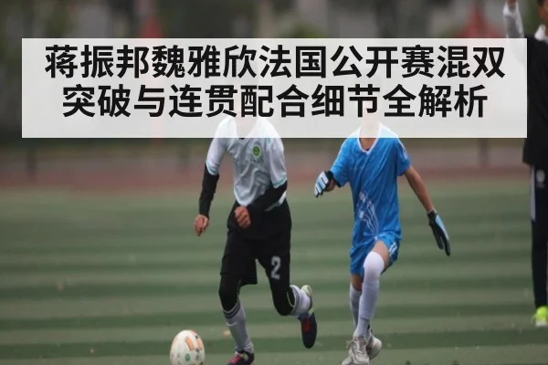 蒋振邦魏雅欣法国公开赛混双突破与连贯配合细节全解析